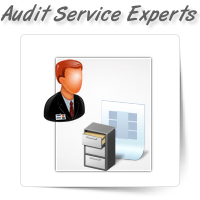 Audit Service Experts